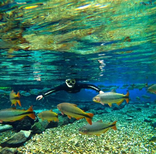 Recanto Ecológico Rio da Prata - Flutuação