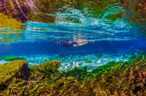 Rio Sucuri Flutuação