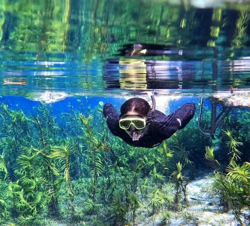 Nascentes Rio Azul: Combo Especial (Flutuação + Balneário + Almoço)