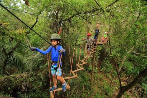 Cabanas Aventura - Arvorismo