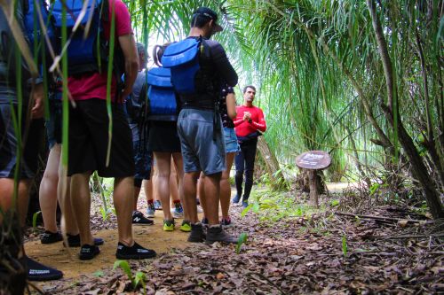 Parque Ecológico Rio Formoso - Trilha do Formoso