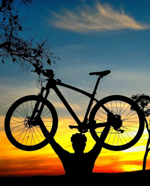 Rota Aventura - Cabanas + Arvorismo