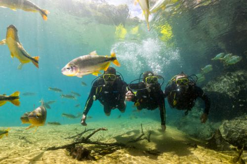 Recanto Ecológico Rio da Prata - Mergulho