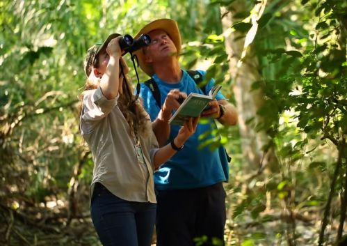 Estância Mimosa - Observação de Aves