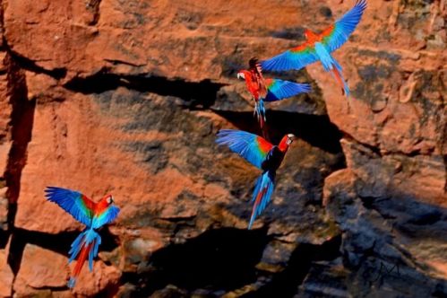 Buraco das Araras - Contemplação