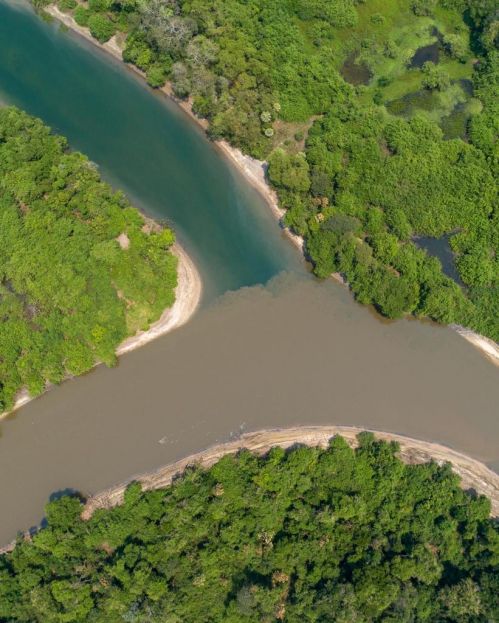 Projeto Salobra + Almoço Pantaneiro