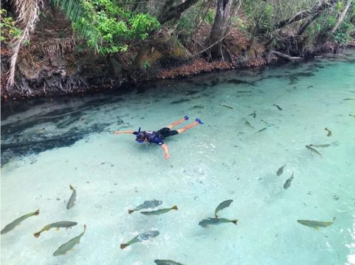 Praia da Figueira - Flutuação