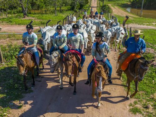 Pantanal Experiência: Comitiva Raiz 2 Dias e 2 Noites - Vivendo Como Peão